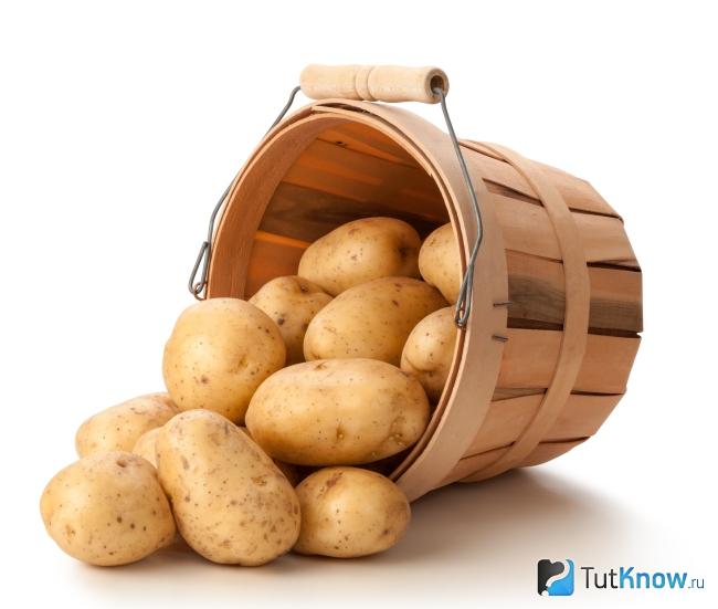 Картофель как запрещенный продукт на яичной диете