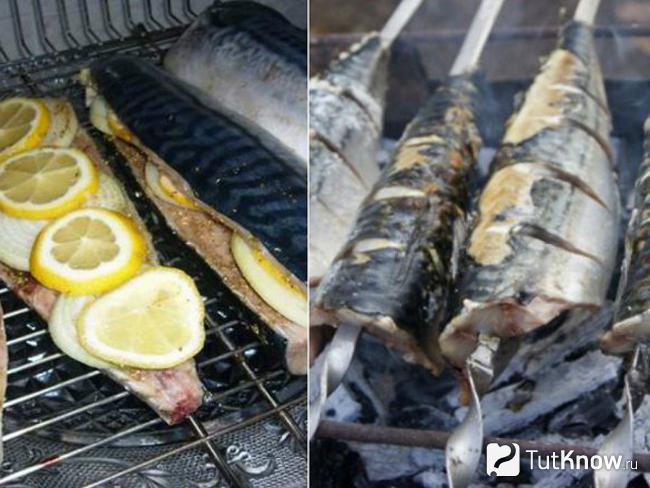 Скумбрия на мангале — особенности приготовления