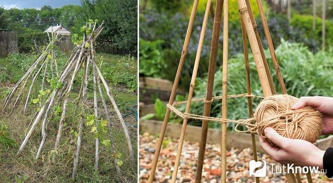 Декоративный огород своими руками