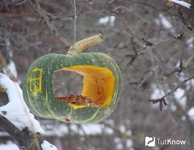 Кормушка из тыквы