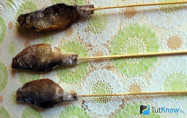 Заготовки для съедобного подарка своими руками