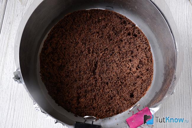 Бисквит на дне разъемной формы