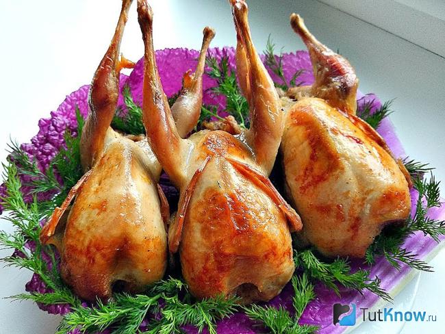 Перепелки на сковороде