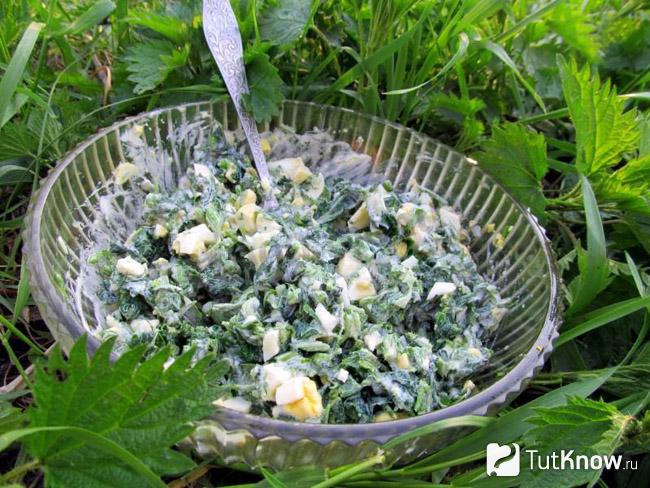 Весенний салат с крапивой, черемшой и яйцами