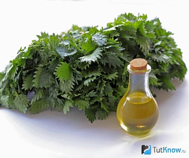 Масло крапивы для лица