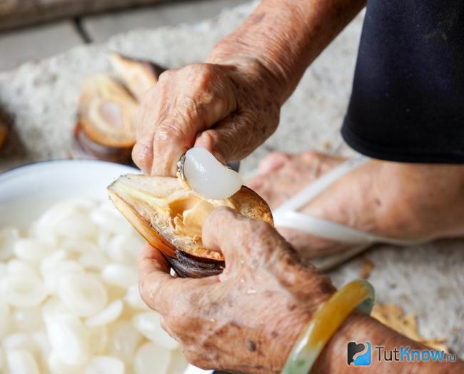 Как чистят плоды пальмы нипа