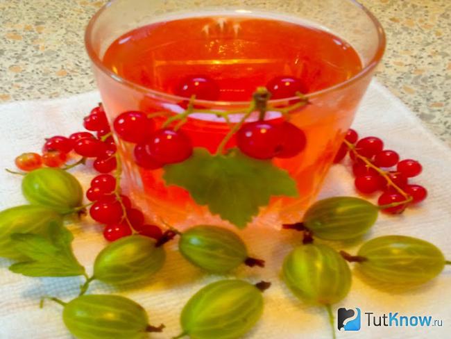 Крыжовник с красной смородиной