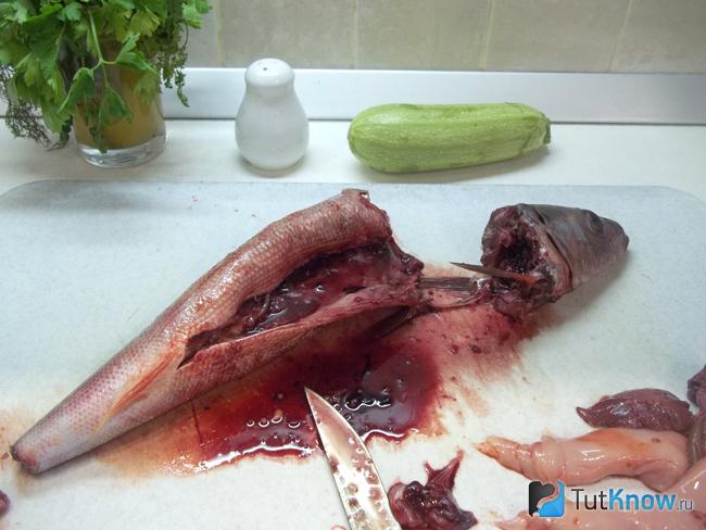 У рыбы отрезана голова и хвост