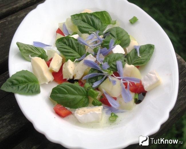 Салат с цветками цикория и сыром Бри