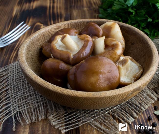 Классические маринованные маслята