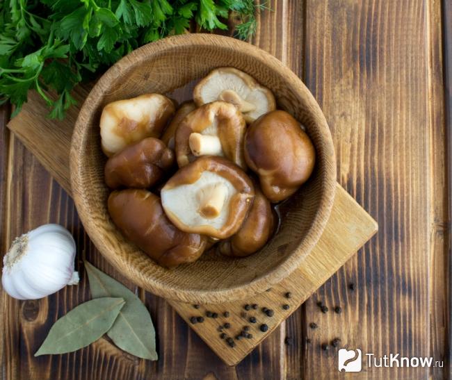 Маринованные маслята с чесноком и горчицей