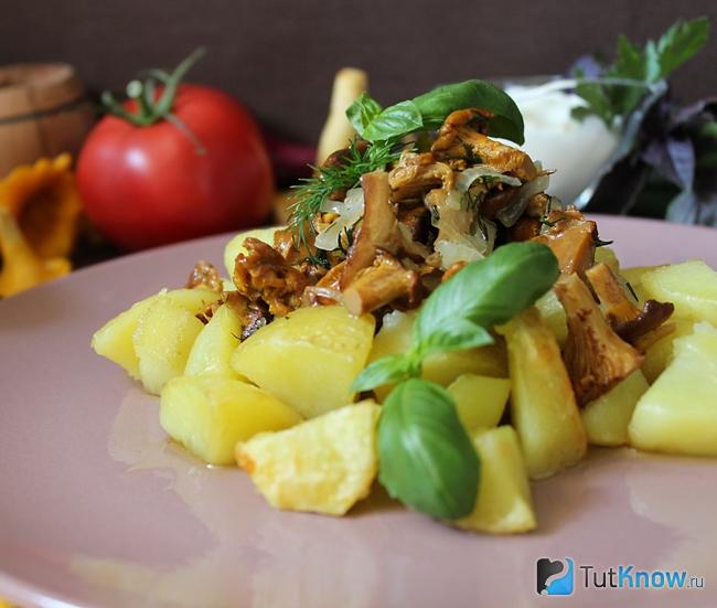 Лисички с картошкой