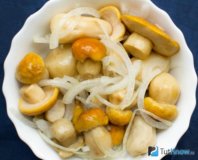 Маринованные белые грибы с луком