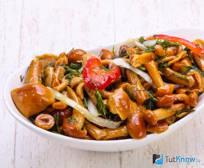 Маринованные опята с укропом и листьями смородины