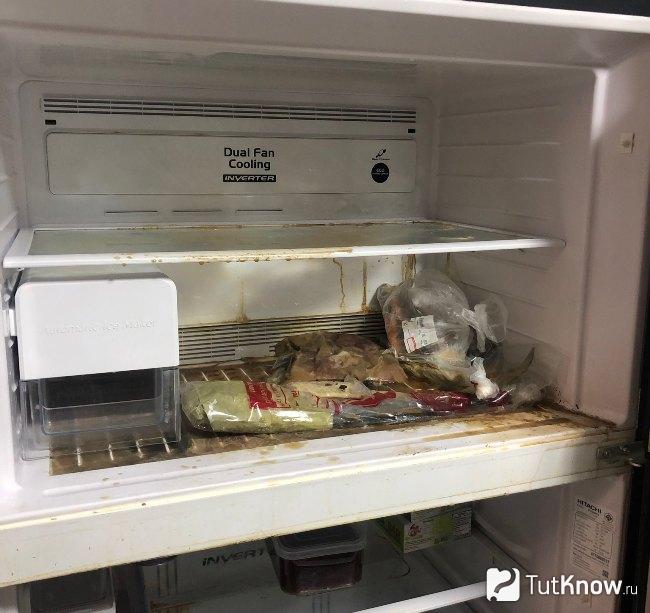 Испорченные продукты в холодильнике как причина неприятного запаха