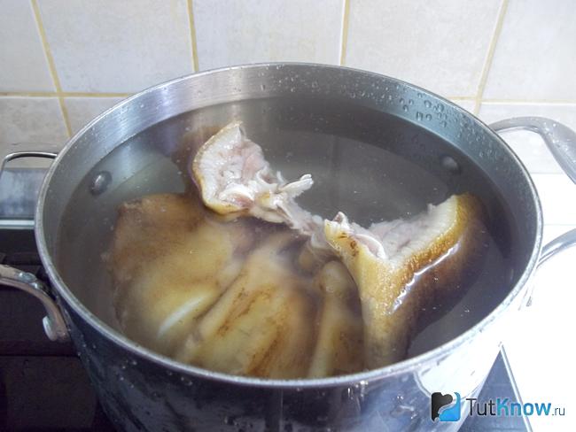 Свиное ушко залито водой и дальше варится