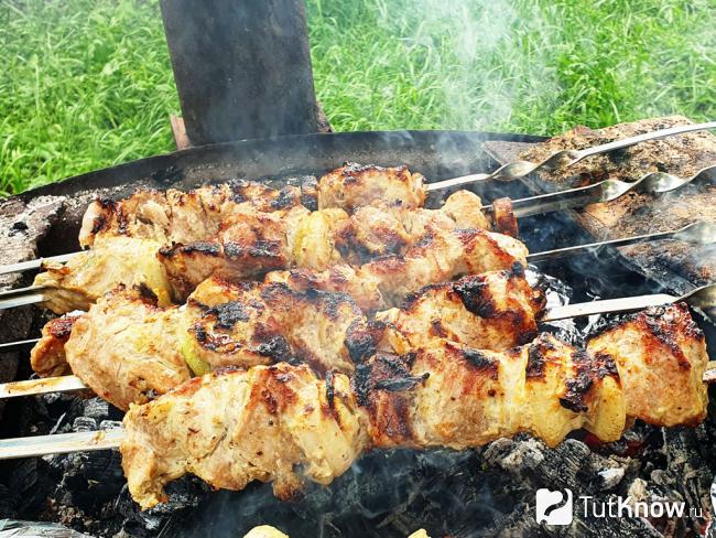 Готовый шашлык в маринаде с майонезом и луком из свинины