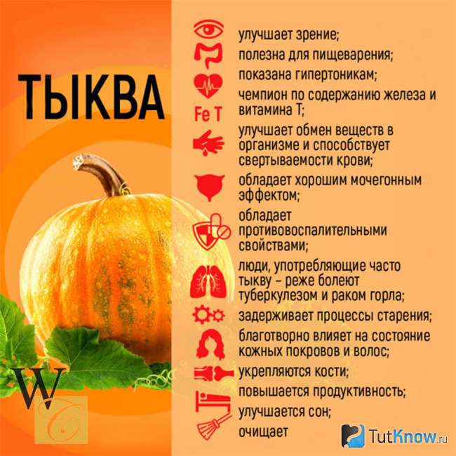 Польза тыквы