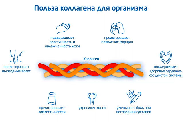 Польза коллагена