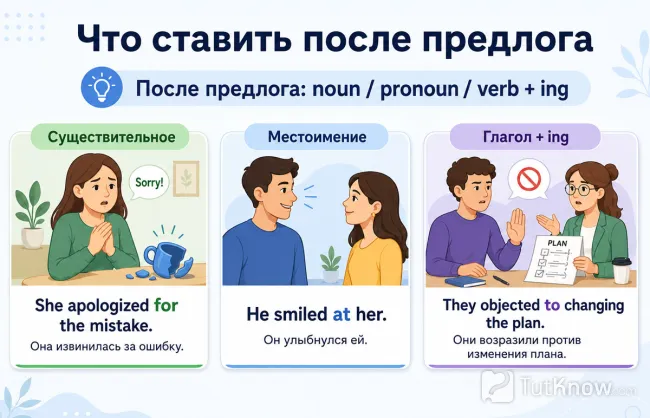 Что ставить после предлога: примеры и формы