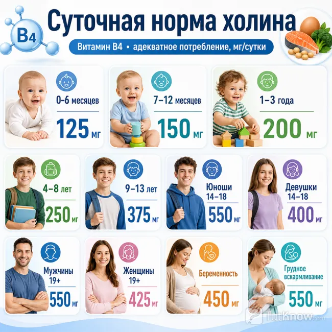 Суточная норма холина по возрастам и состояниям