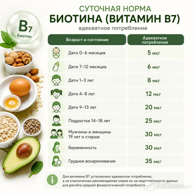 Суточная норма биотина по возрастам