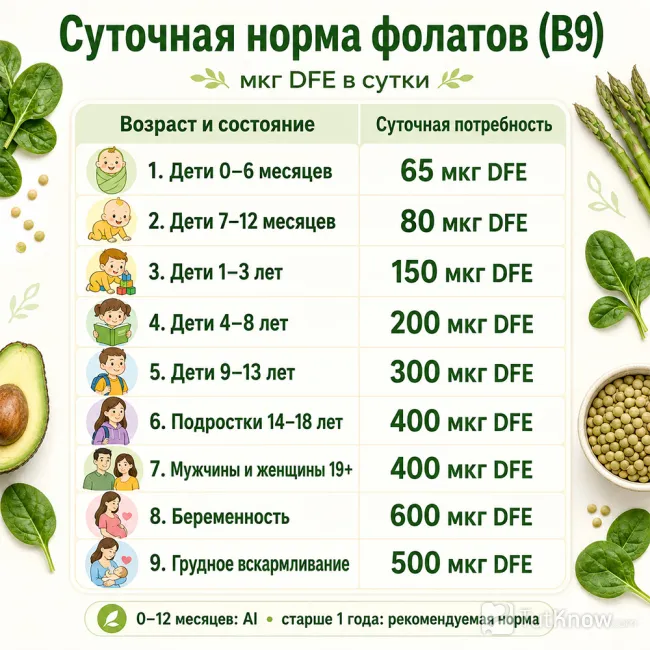Суточная норма фолиевой кислоты для детей и взрослых