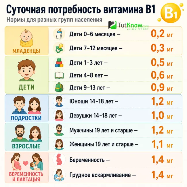 Суточная потребность витамина В1