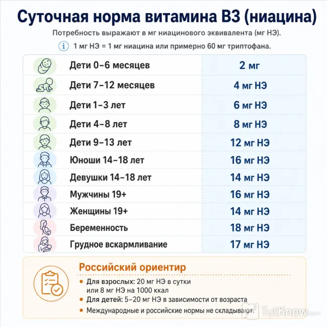 Суточные нормы Витамина B3 по возрасту