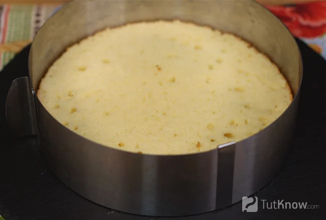 Корж в регулируемом кондитерском кольце